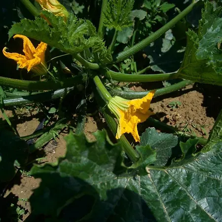 Appartamento Du Mas De Surlan Chantemerle-les-Blés