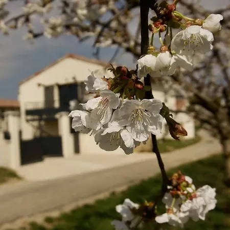 Apartmán Du Mas De Surlan Chantemerle-les-Blés